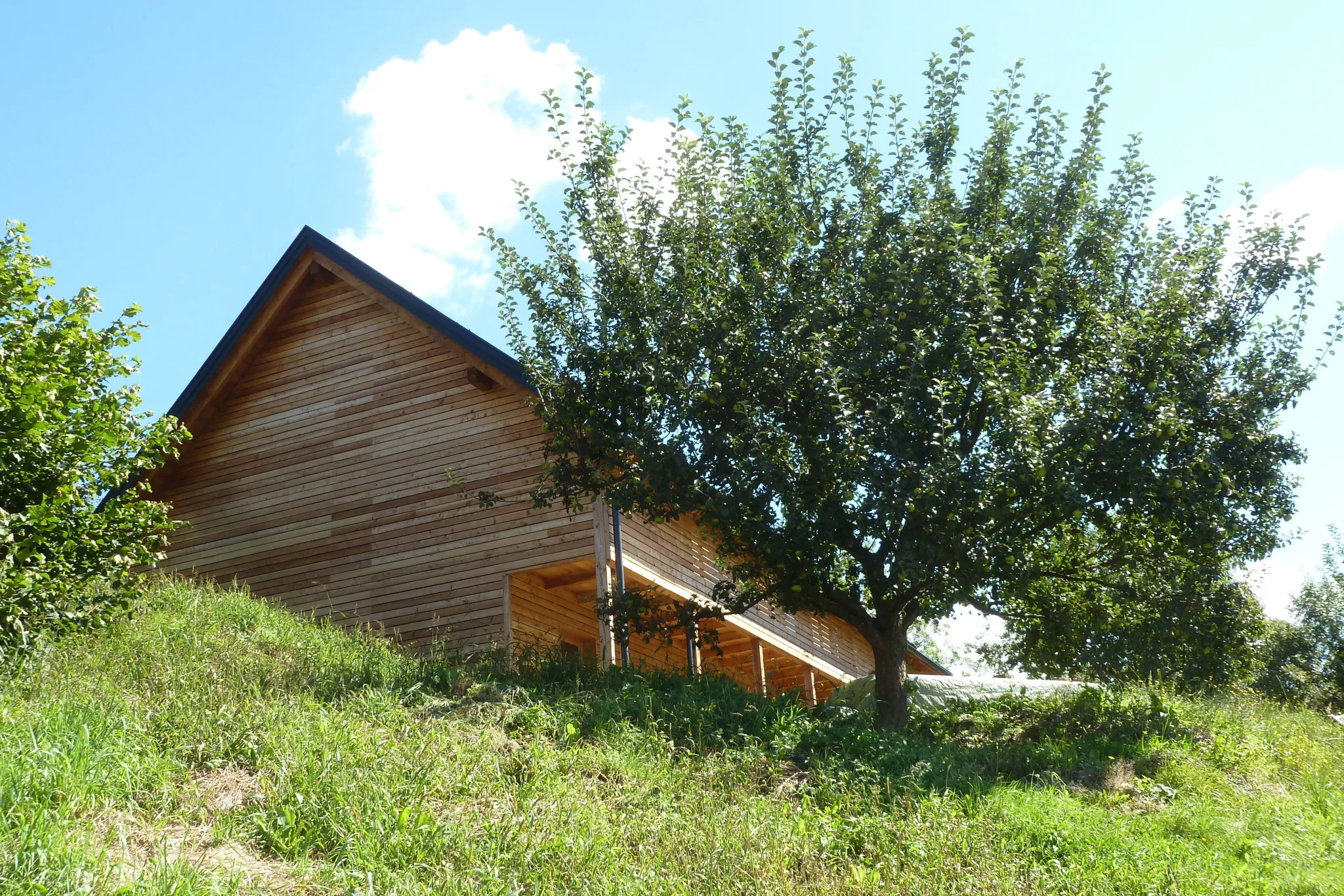 Haus Monika: Giebelansicht des Holzhauses zwischen Apfelbäumen am Hang
