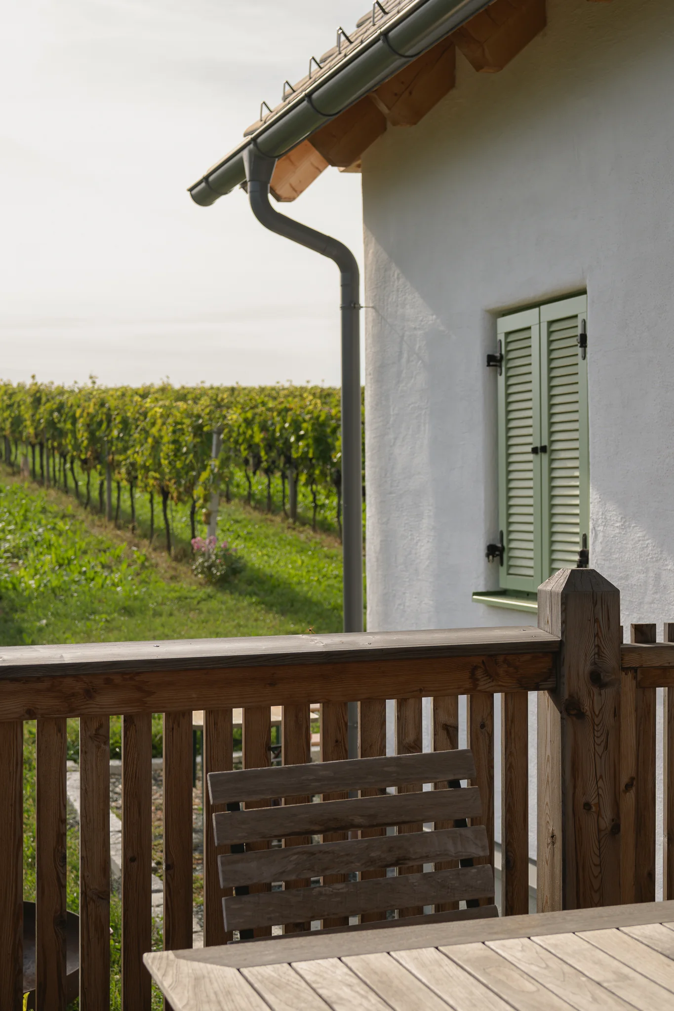 Kellerstöckl: Terrassendetail mit Regenrinne, Fensterladen und Blick auf den Weingarten