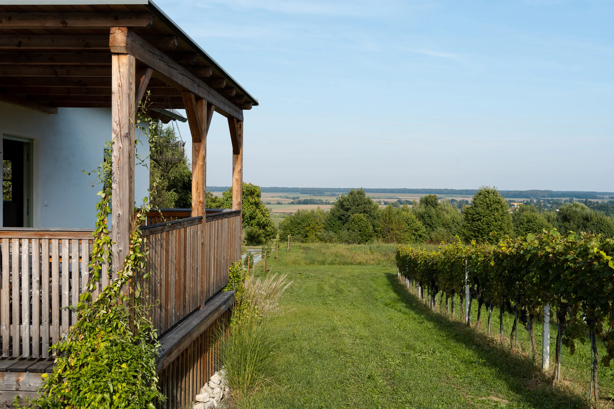 Kellerstöckl: Überdachte Terrasse mit Blick über die Weinreihen und die Landschaft