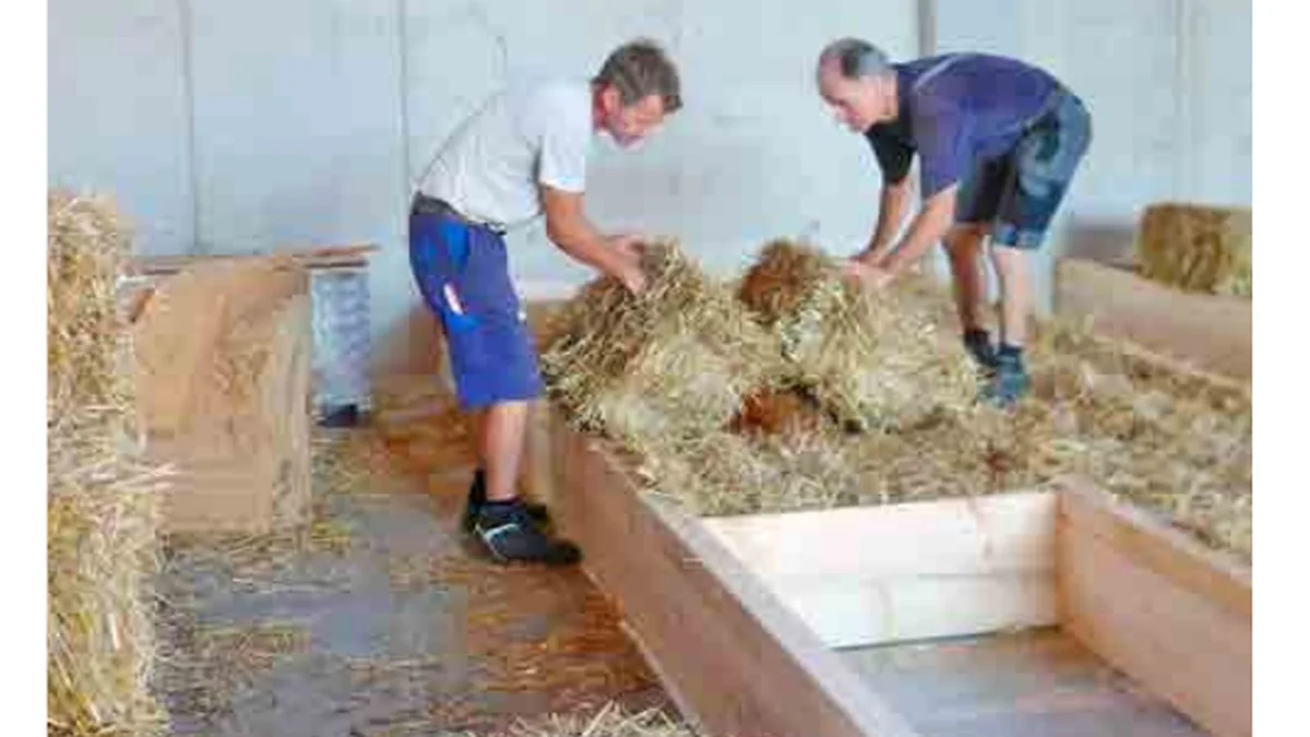 Zwei Männer bringen Strohballen in ein liegendes Holzriegel-Wandelement ein